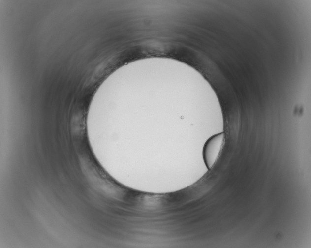 X0000112460134200909281030