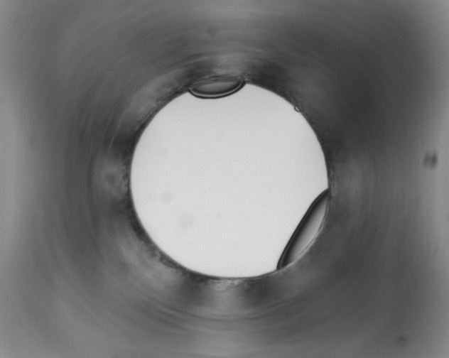 X0000112460136200909281030