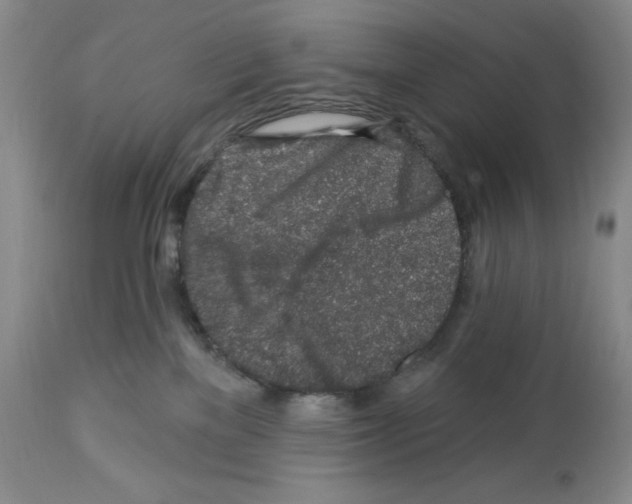 X0000112460137200909281030