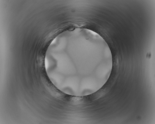 X0000112460139200909281030