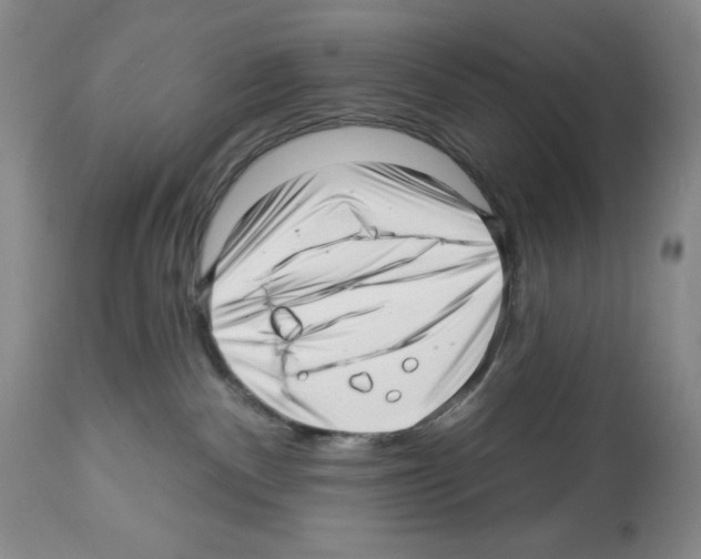 X0000112460140200909281030