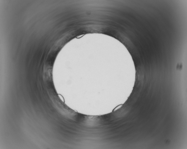 X0000112460141200909281030