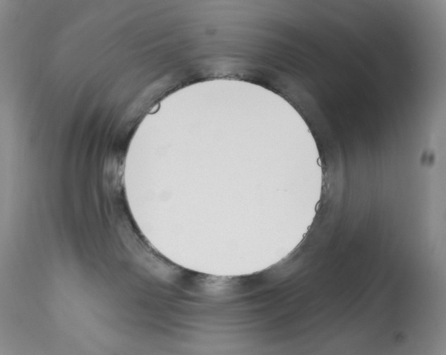 X0000112460142200909281030