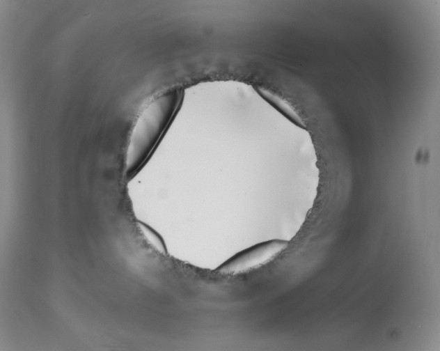 X0000112460144200909281030
