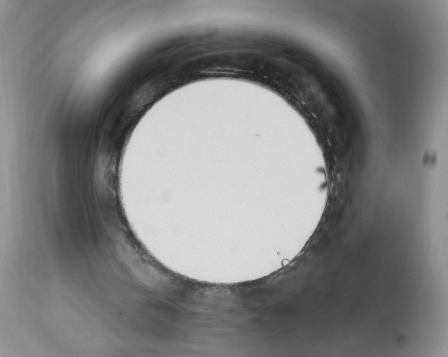 X0000112460146200909281029