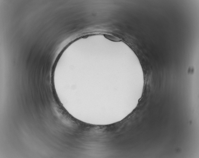 X0000112460148200909281029