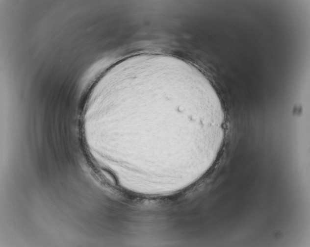 X0000112460149200909281029