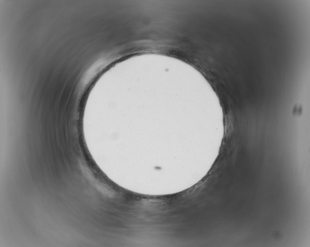X0000112460150200909281029