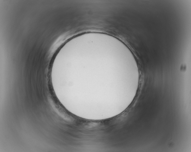 X0000112460151200909281029