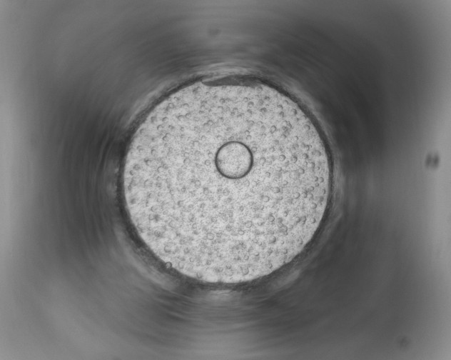 X0000112460153200909281029