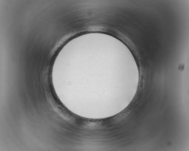 X0000112460155200909281029