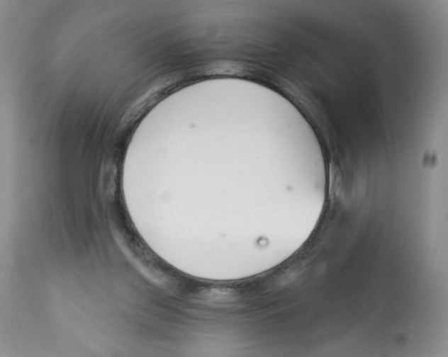 X0000112460157200909281029