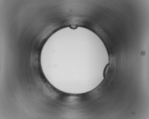 X0000112460158200909281029