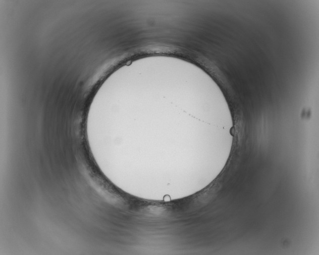 X0000112460159200909281029