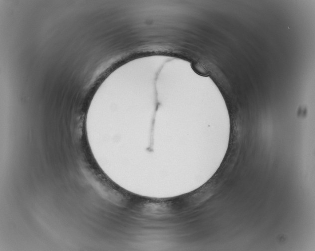 X0000112460160200909281029