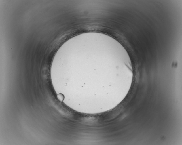 X0000112460161200909281029