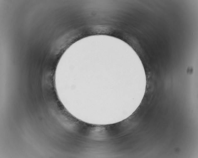 X0000112460162200909281029