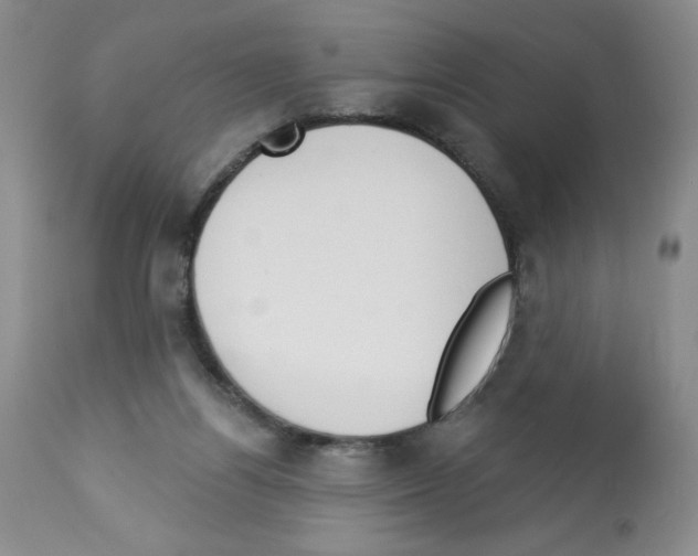X0000112460164200909281029