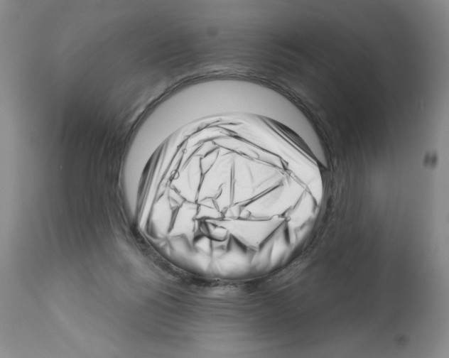 X0000112460168200909281030
