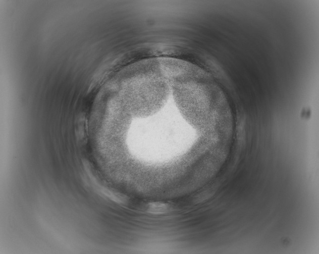 X0000112460169200909281030