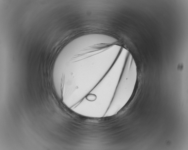 X0000112460170200909281030