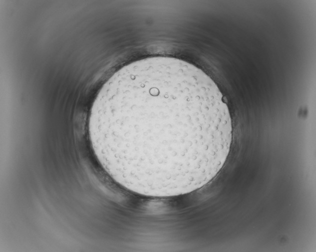 X0000112460171200909281030