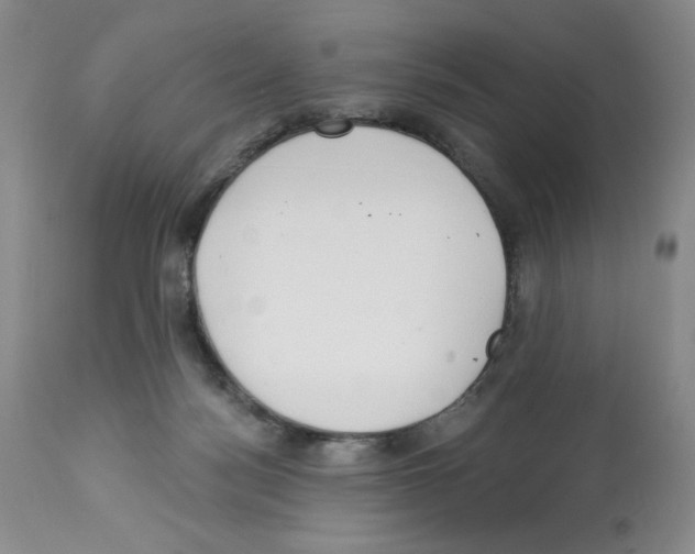 X0000112460172200909281030