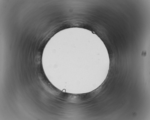 X0000112460174200909281030