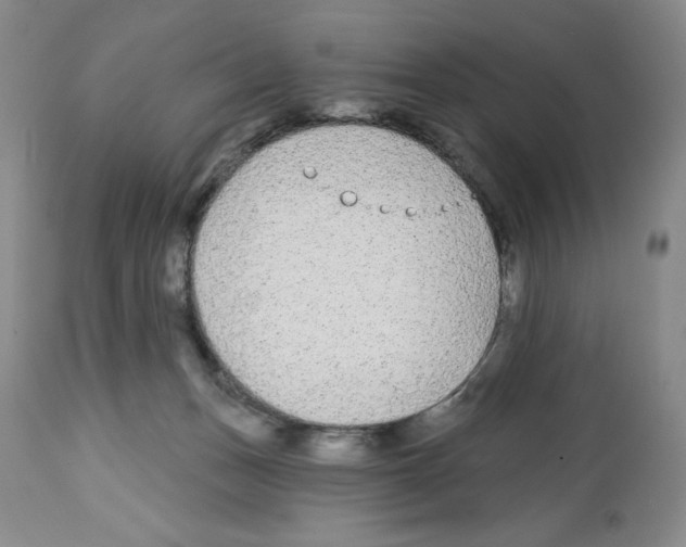X0000112460175200909281030