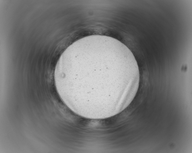 X0000112460177200909281030