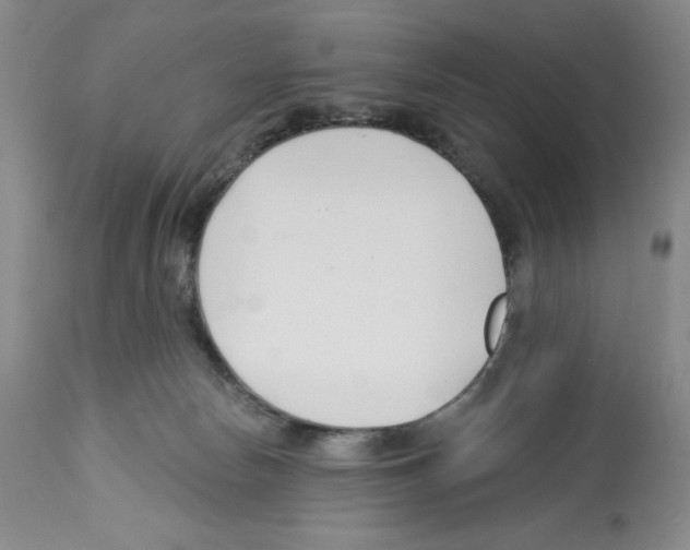 X0000112460178200909281030