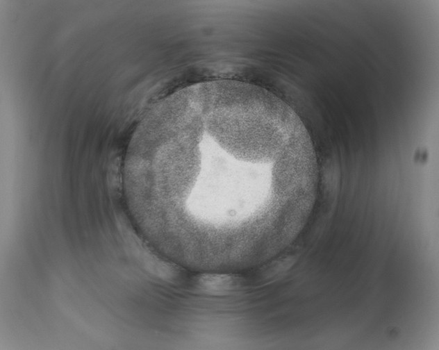 X0000112460181200909281030