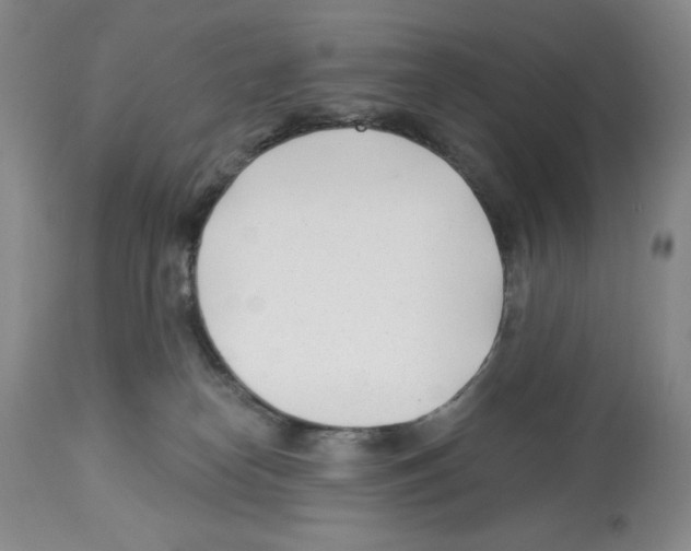 X0000112460182200909281030