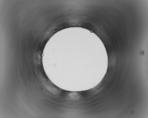 X0000112460183200909281030