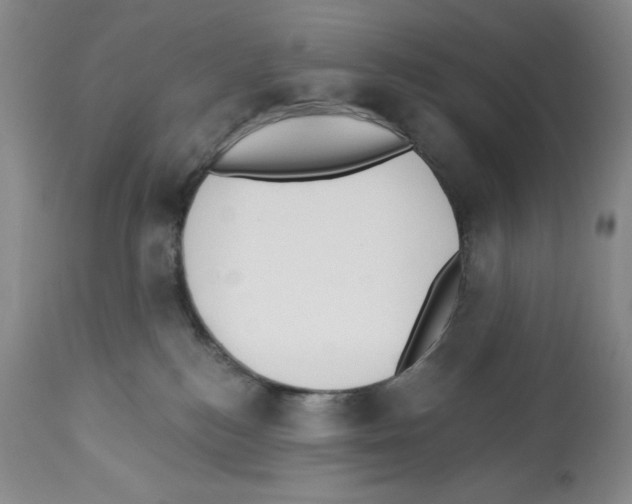 X0000112460184200909281030