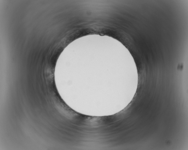 X0000112460186200909281030