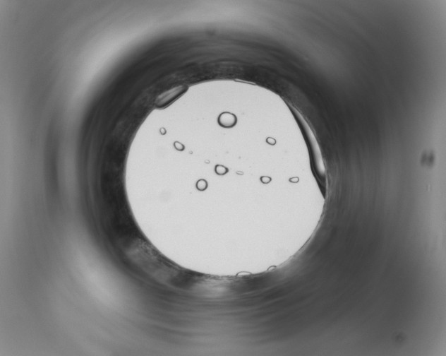 X0000112460190200909281030