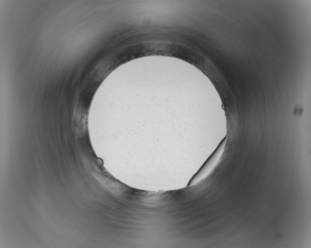 X0000112460191200909281030