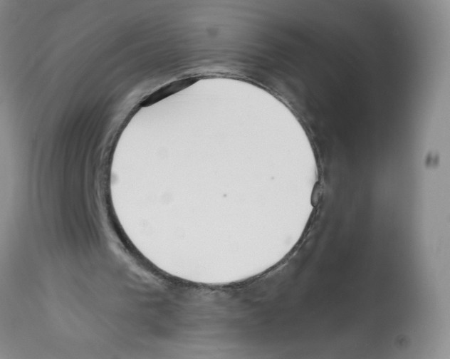X0000112460193200909281029