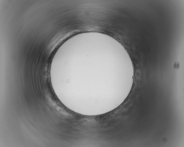X0000112460194200909281029