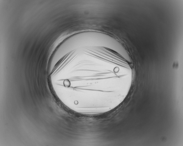 X0000112460195200909281029