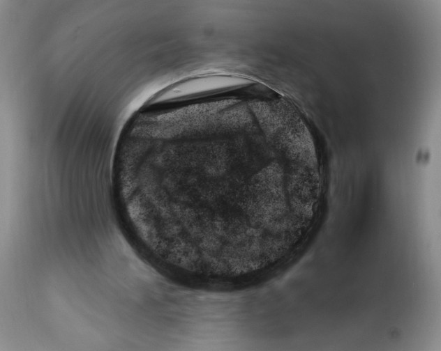 X0000112460196200909281029