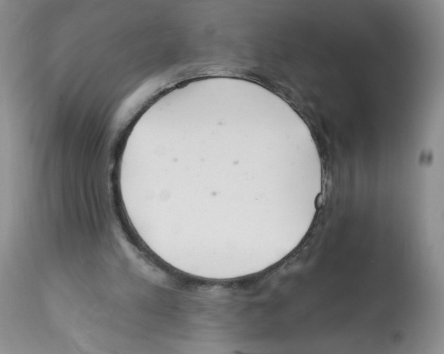 X0000112460197200909281029