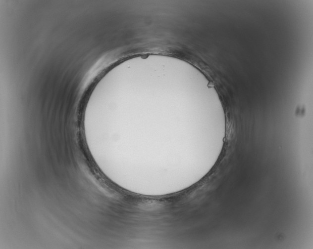 X0000112460198200909281029