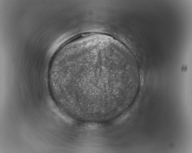X0000112460199200909281029