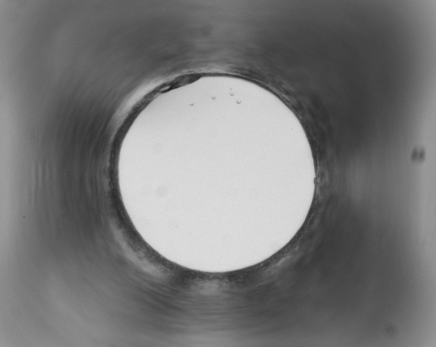 X0000112460200200909281029