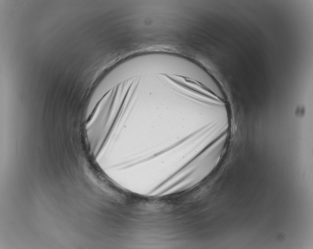 X0000112460201200909281029