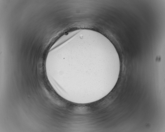 X0000112460202200909281029