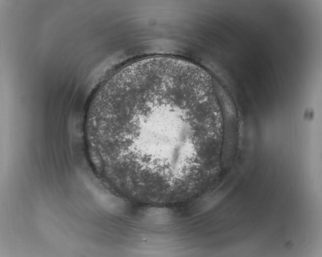 X0000112460203200909281029