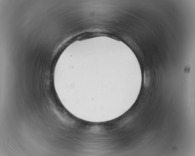 X0000112460204200909281029